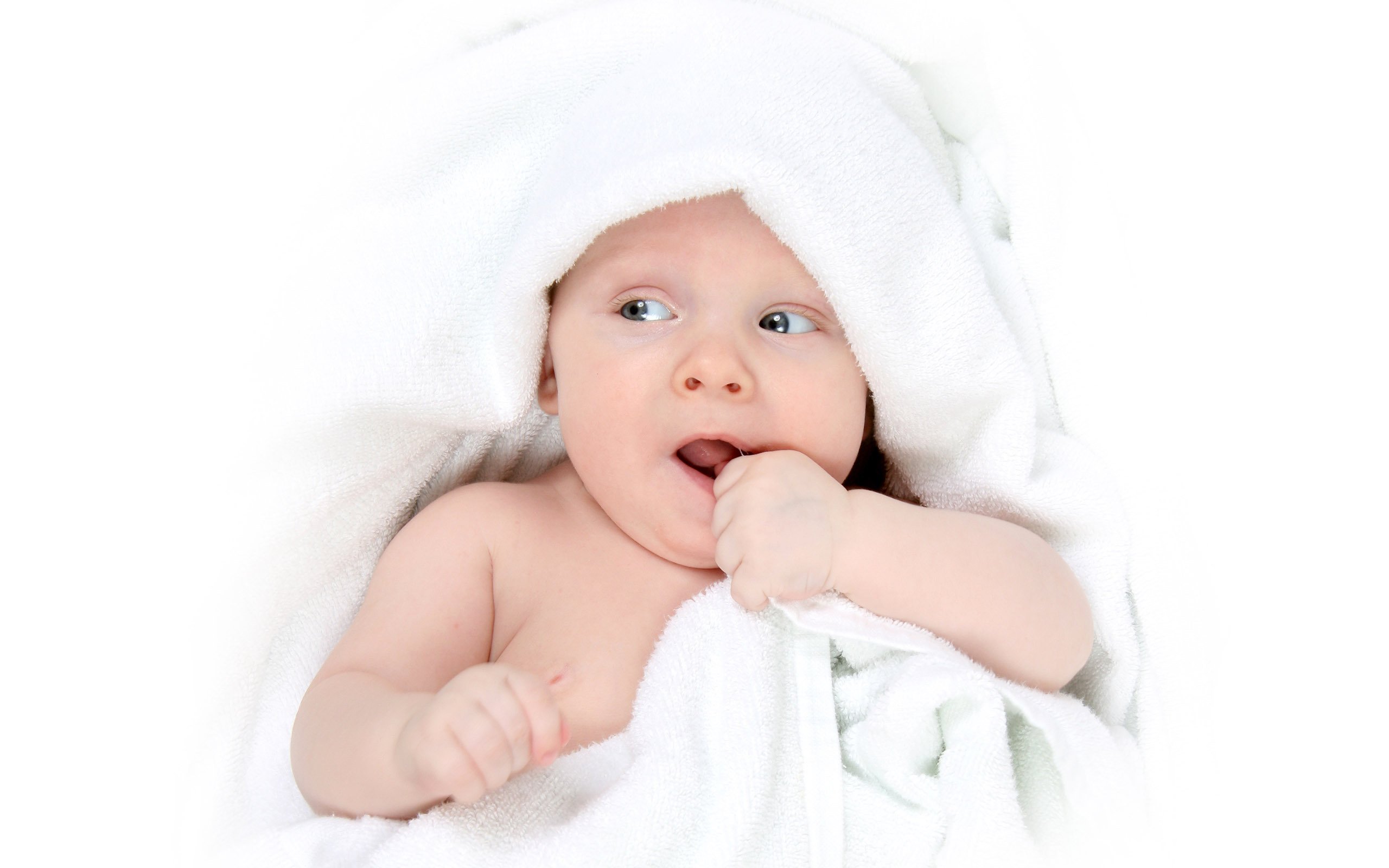 西宁捐卵机构试管婴儿成功率报告